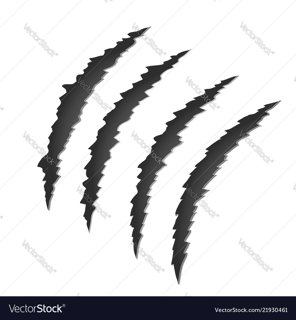 Claw scratch mark torn scrape trace beast Vector Image