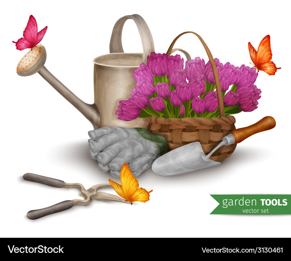 Garden tools background Royalty Free Vector Image