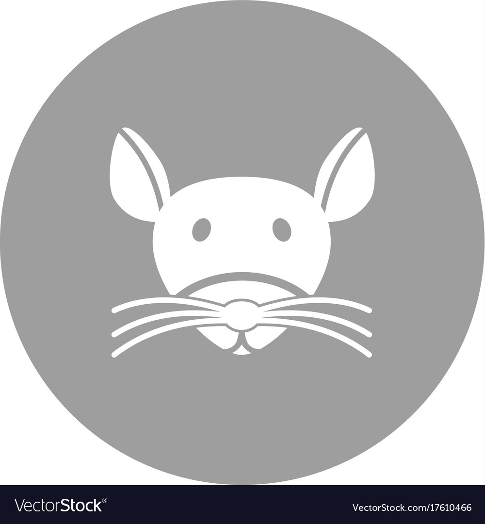 Mouse face Royalty Free Vector Image - VectorStock