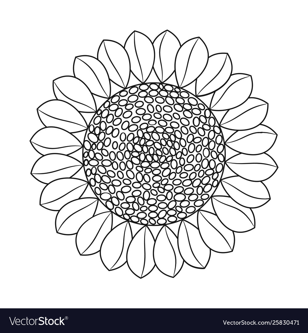 Design sunflower and sunshine icon set Royalty Free Vector