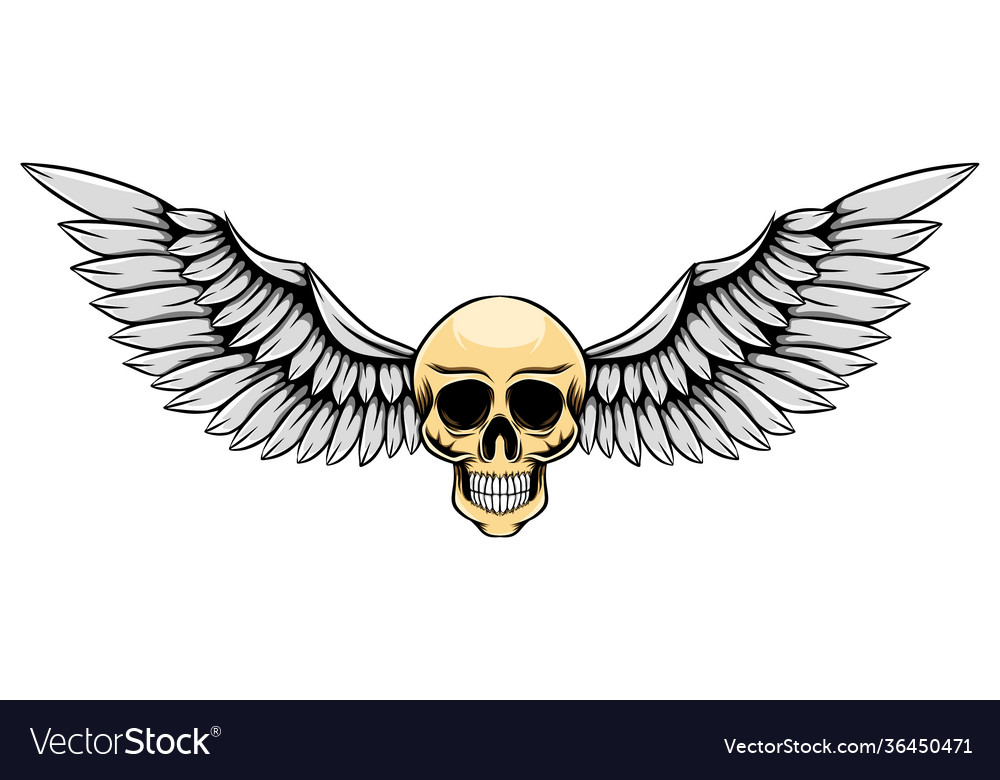 Thin human skull with silver wing Royalty Free Vector Image