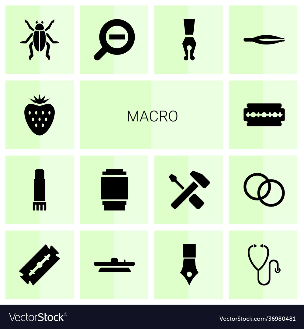 Macro icons Royalty Free Vector Image - VectorStock