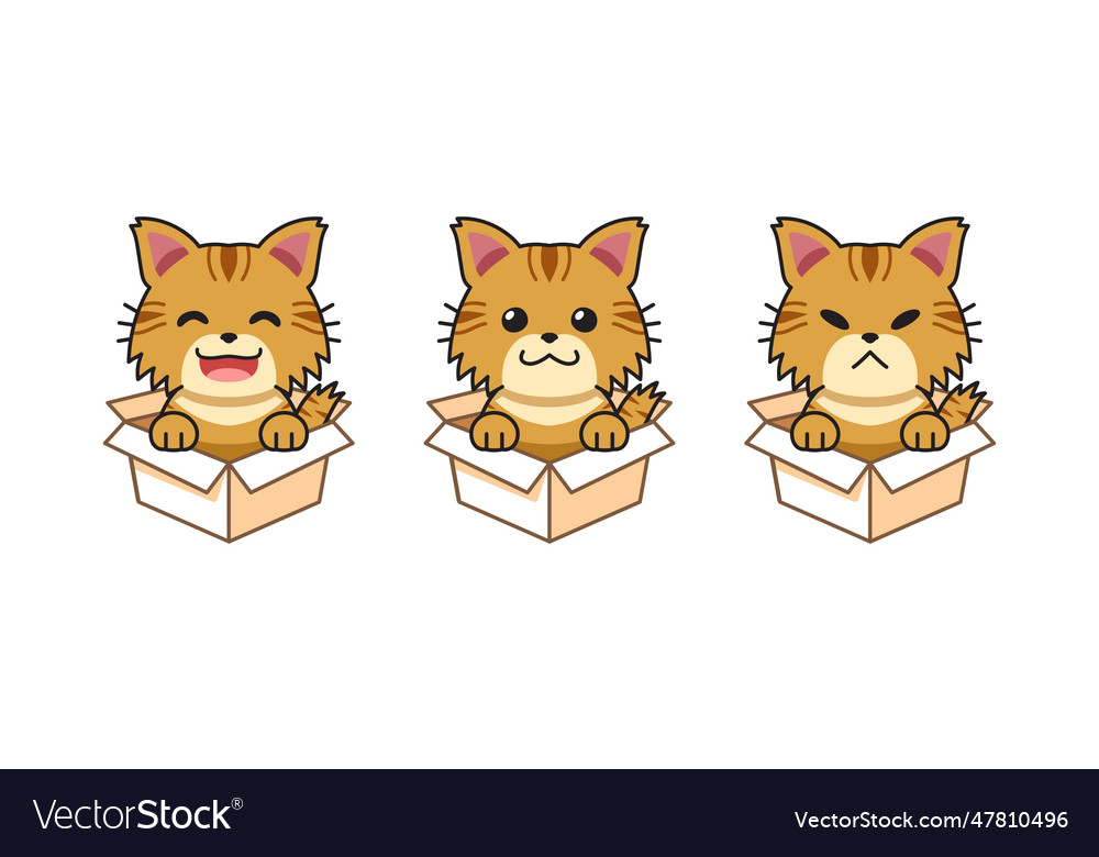 Cartoon set of tabby cat showing Royalty Free Vector Image