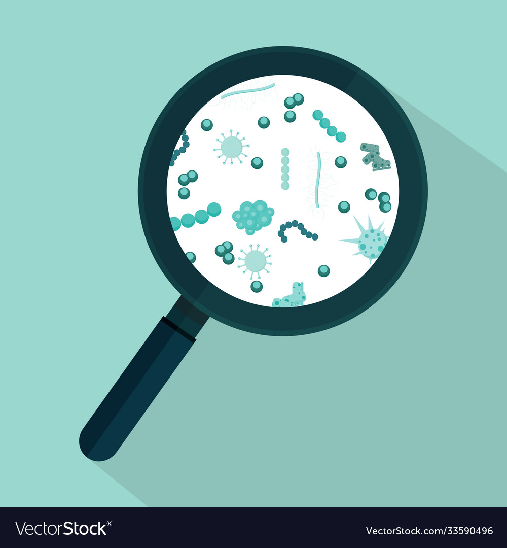 Germs under microscope Royalty Free Vector Image