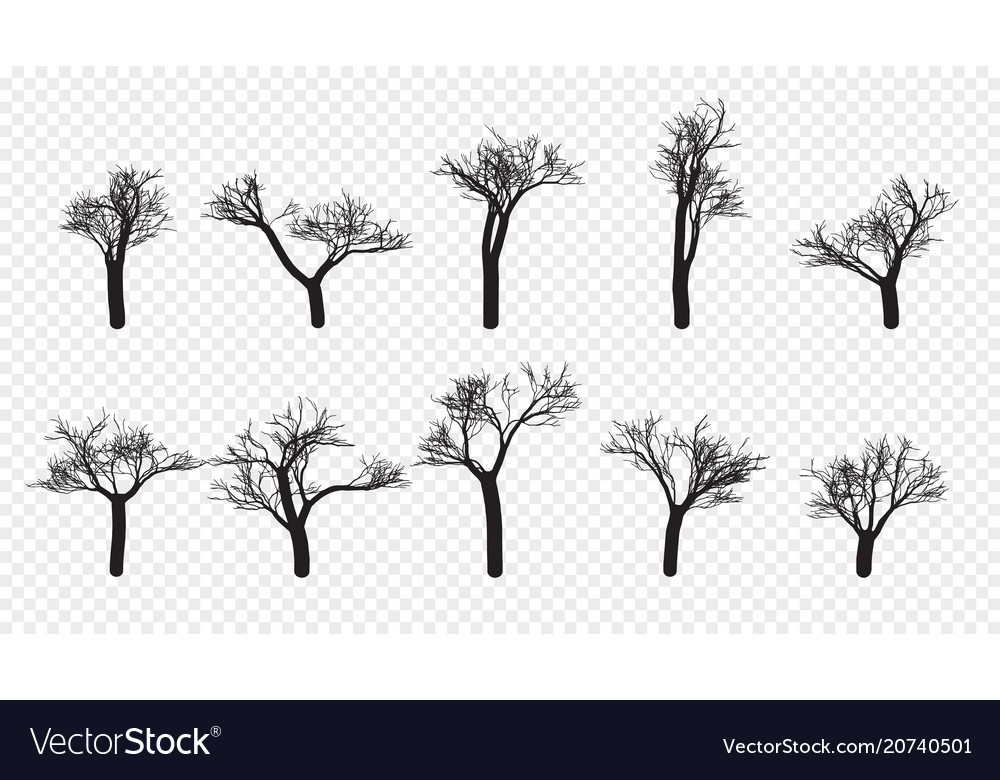 Naked Trees Silhouettes Set Hand Drawn Isolated Vector Image