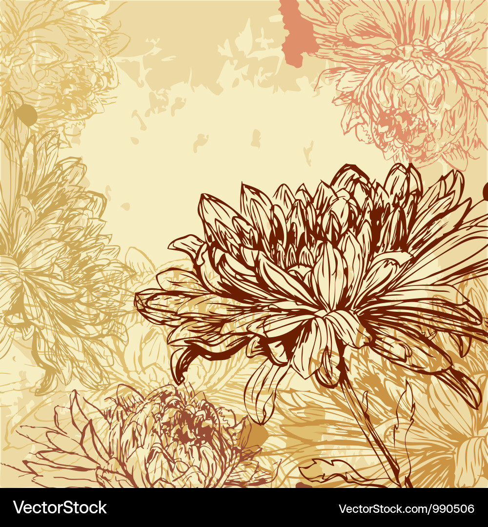 Chrysanthemum background Royalty Free Vector Image