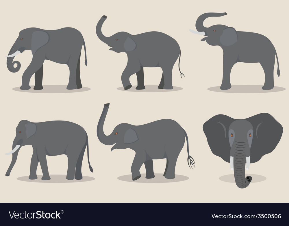 Gray elephant set Royalty Free Vector Image VectorStock