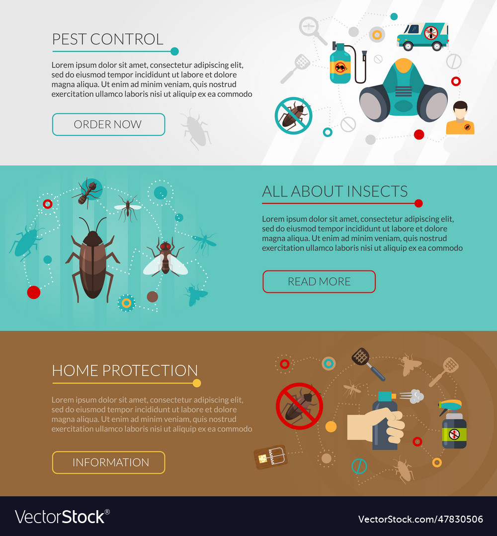 Pest control extermination 3 flat banners Vector Image