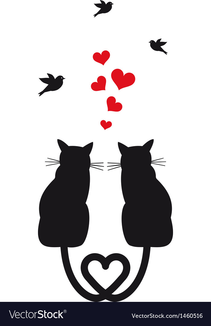 Cats and hot sale love