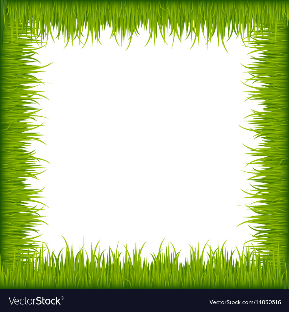 Green grass frame Royalty Free Vector Image - VectorStock