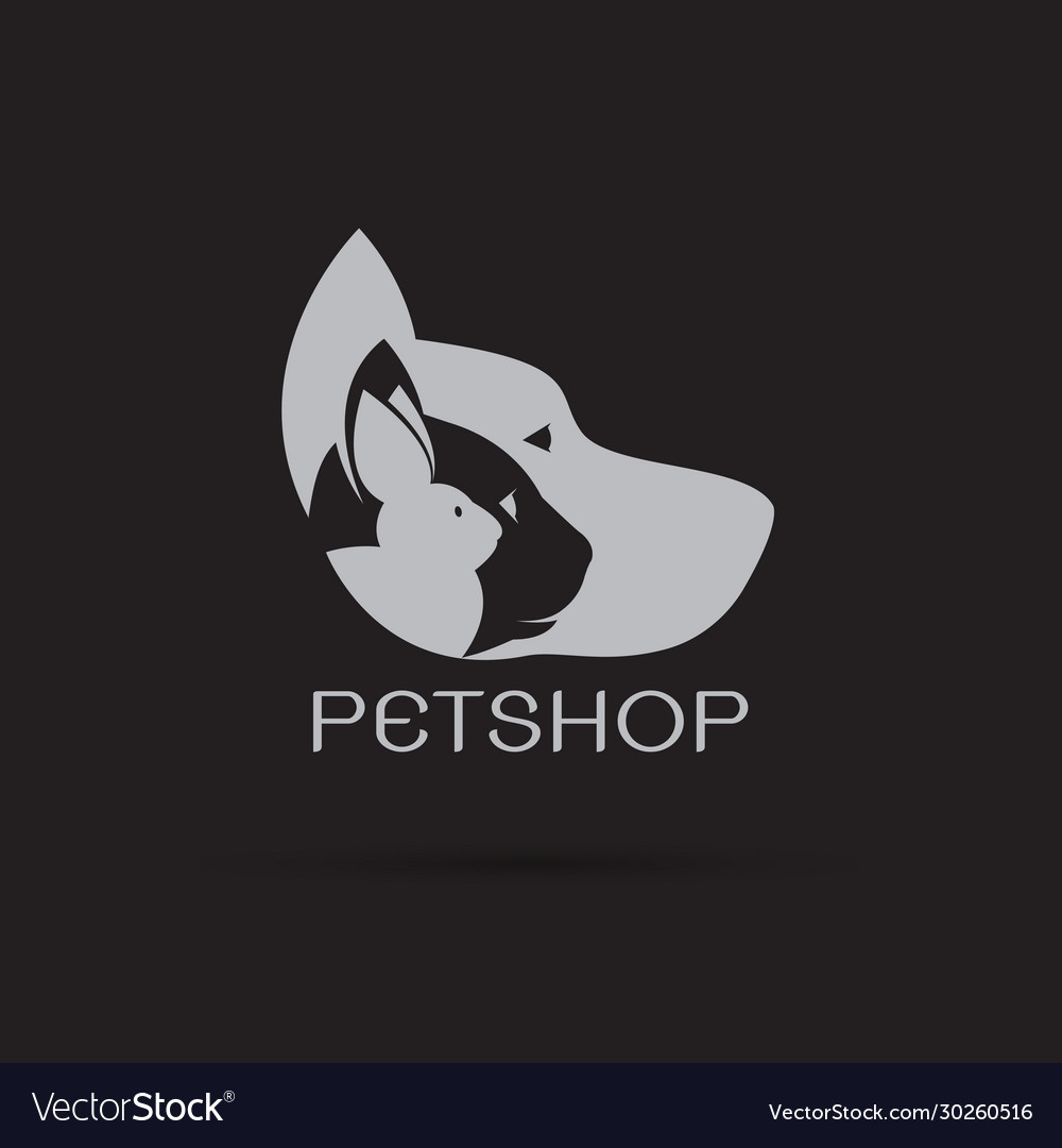 Pets design on black background petshop dog cat Vector Image