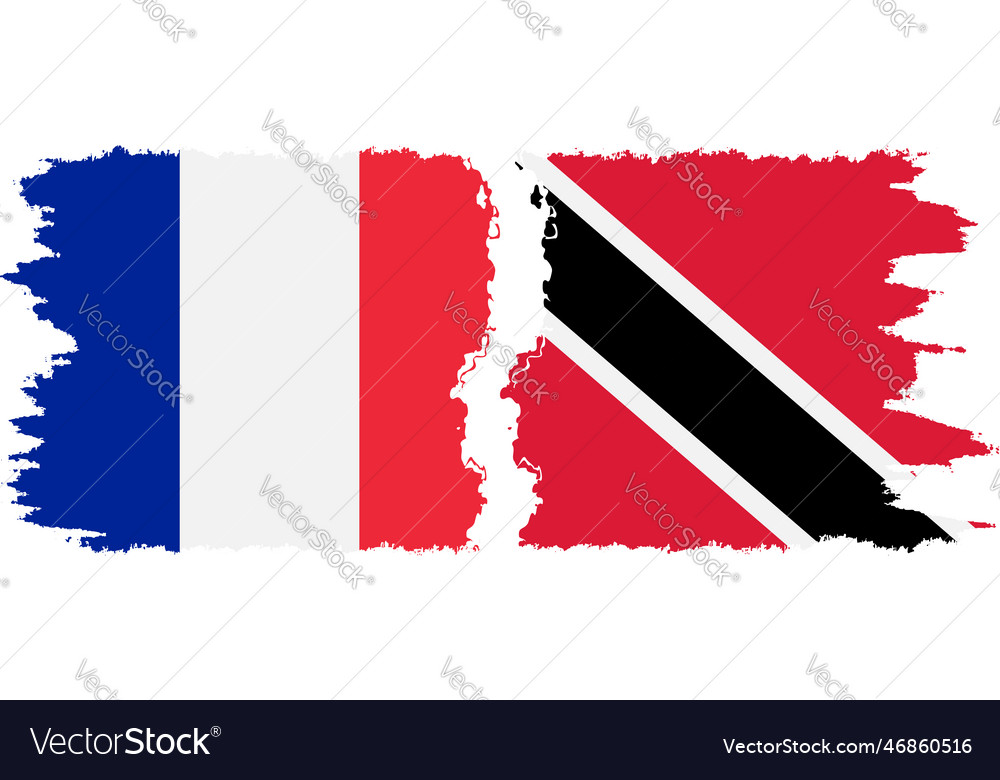 Trinidad and tobago france grunge flags Royalty Free Vector