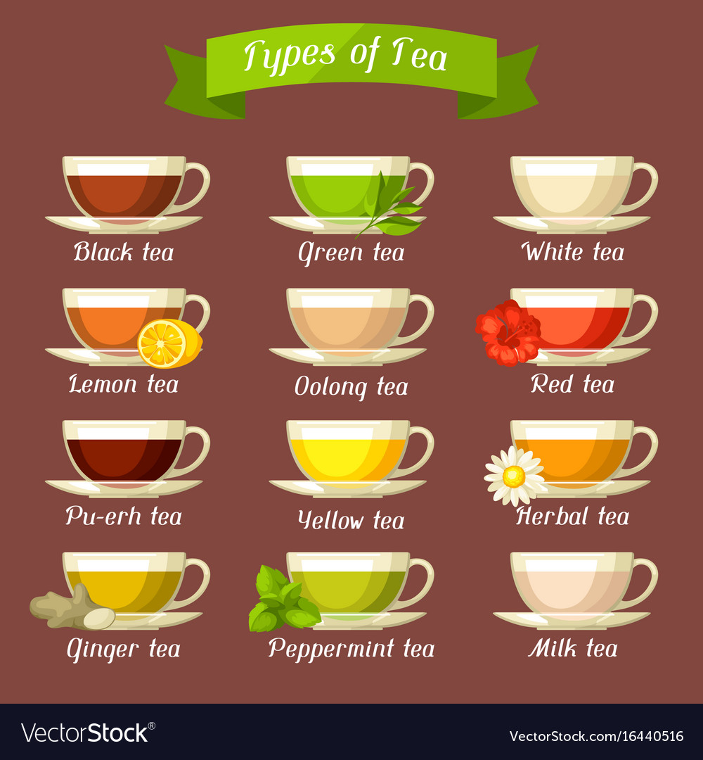 types-of-tea-set-of-glass-cups-with-different-vector-image