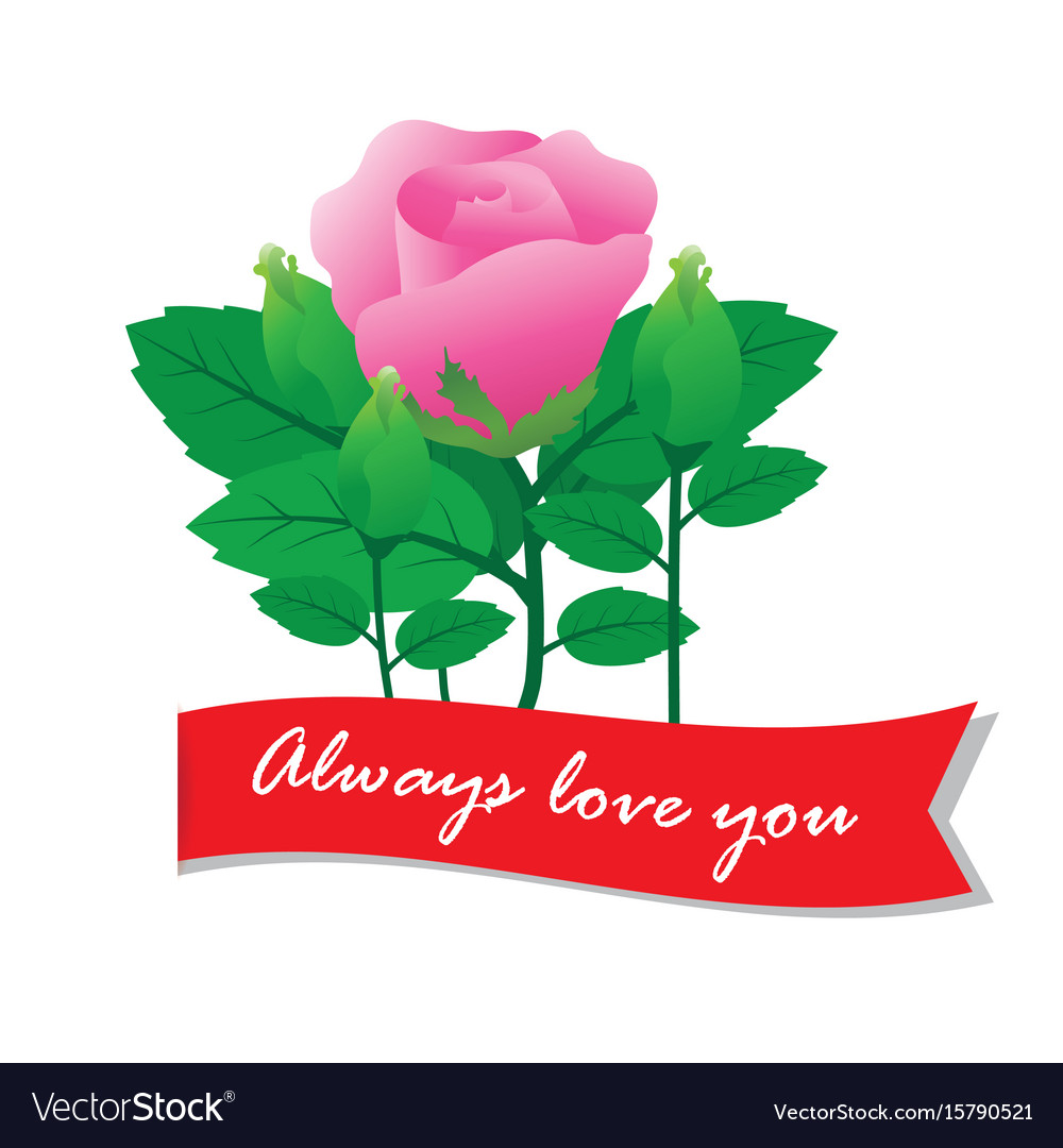 Always love you with rose Royalty Free Vector Image