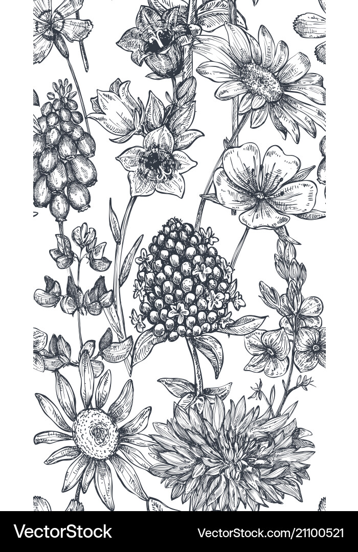 Seamless pattern with hand drawn herbs Royalty Free Vector