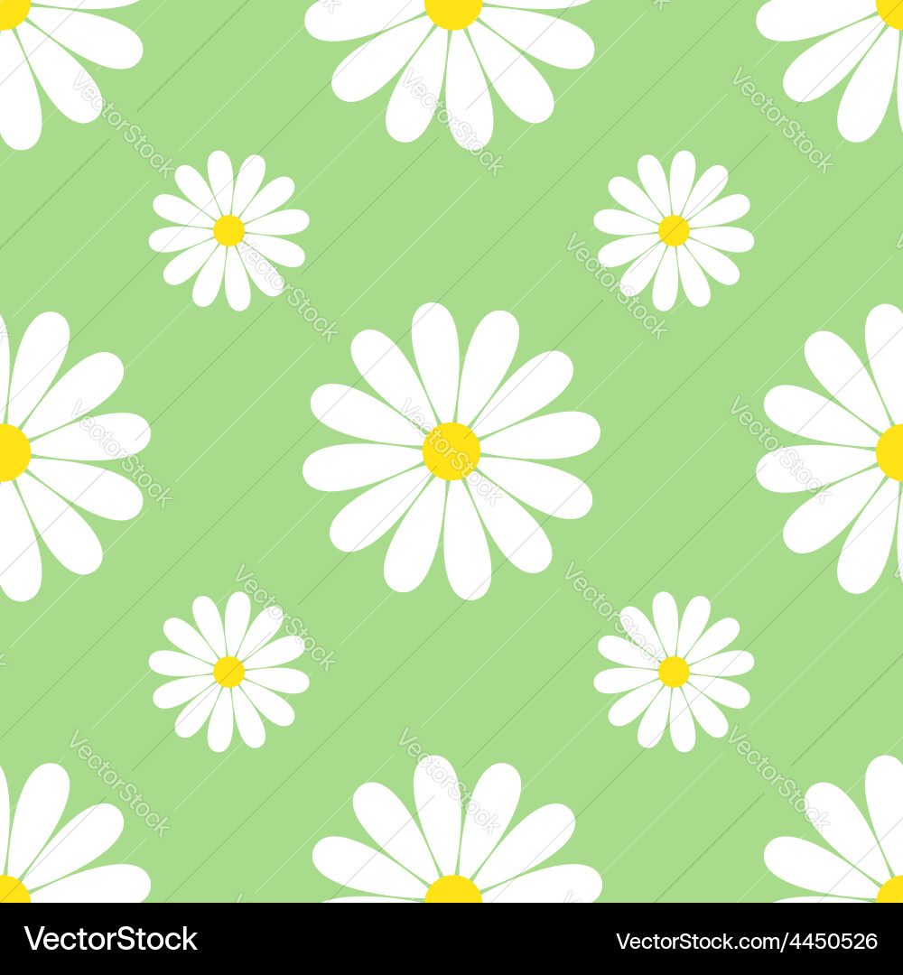 Green background seamless pattern with chamomiles Vector Image