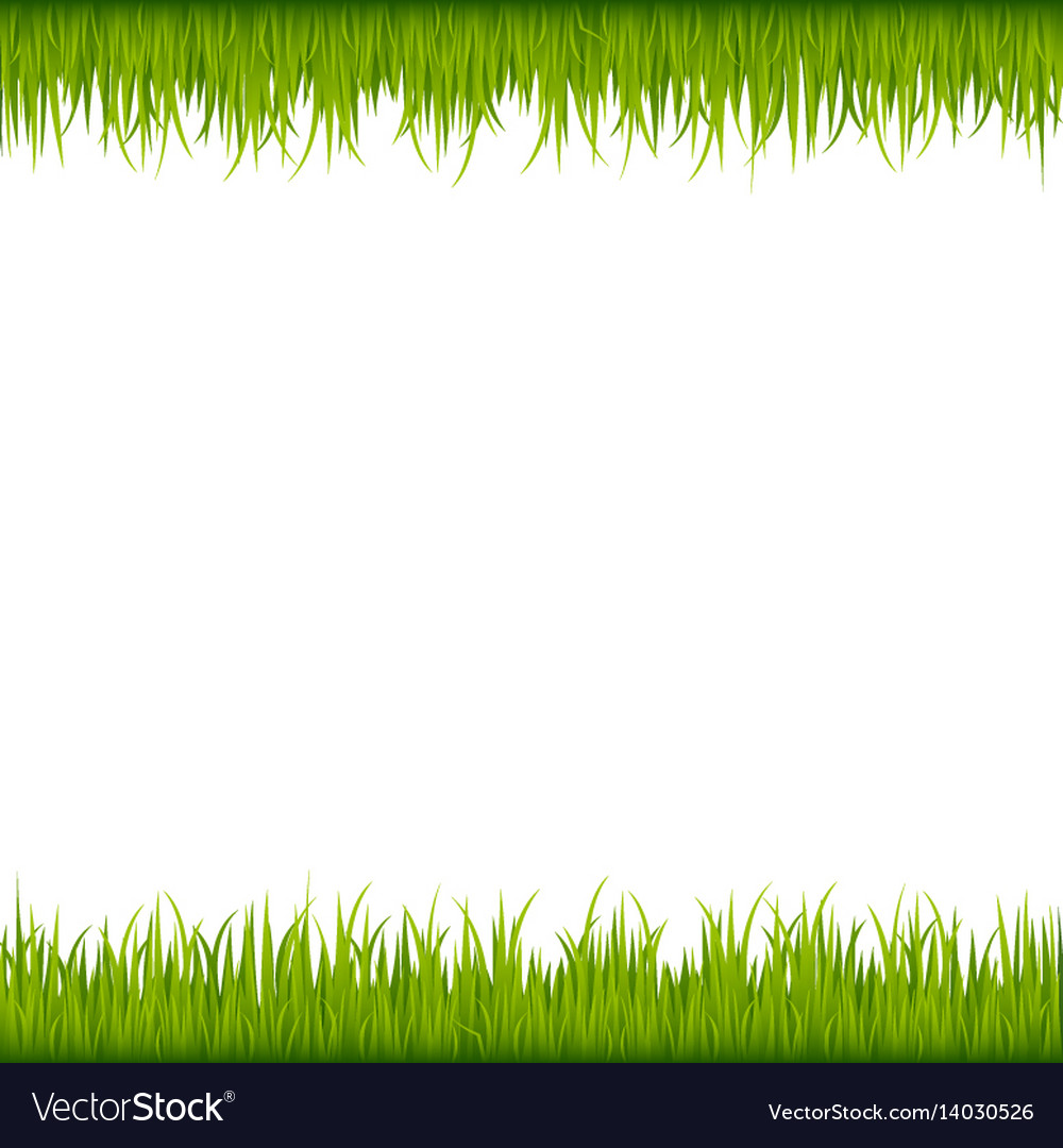 Green grass frame Royalty Free Vector Image - VectorStock