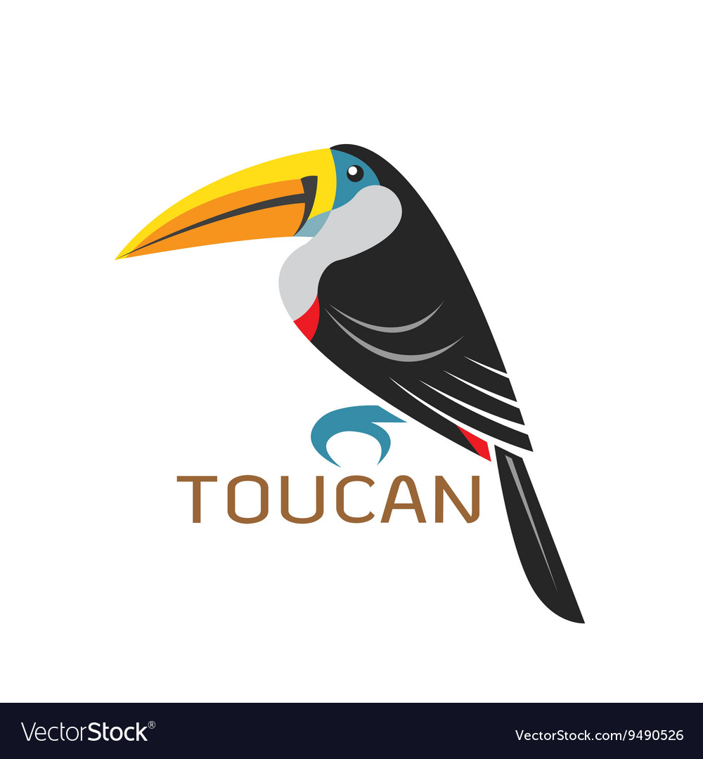 Images of toucan design