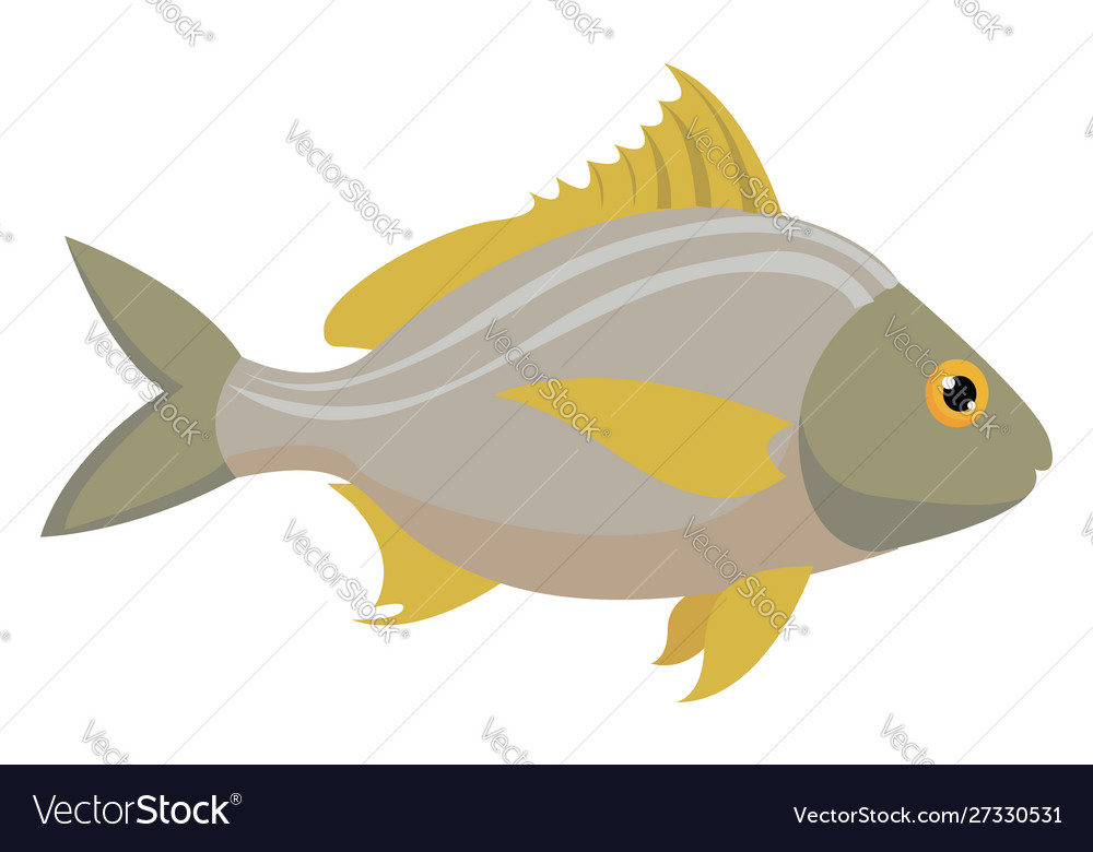 Fish on white background Royalty Free Vector Image