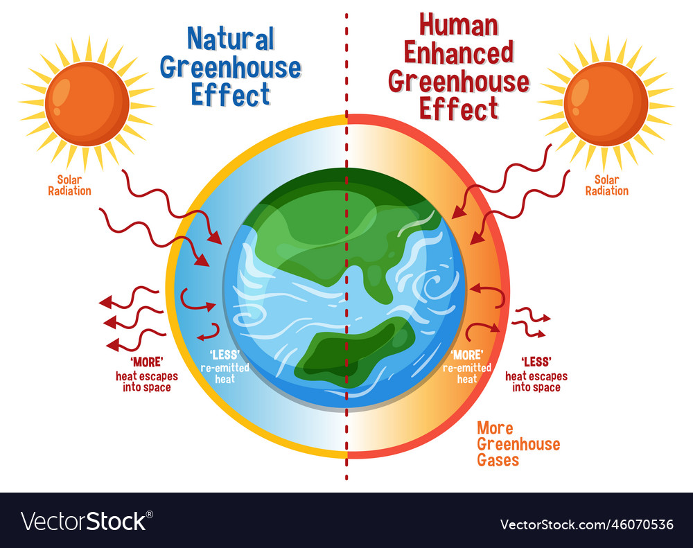 Diagram showing the greenhouse effect Royalty Free Vector