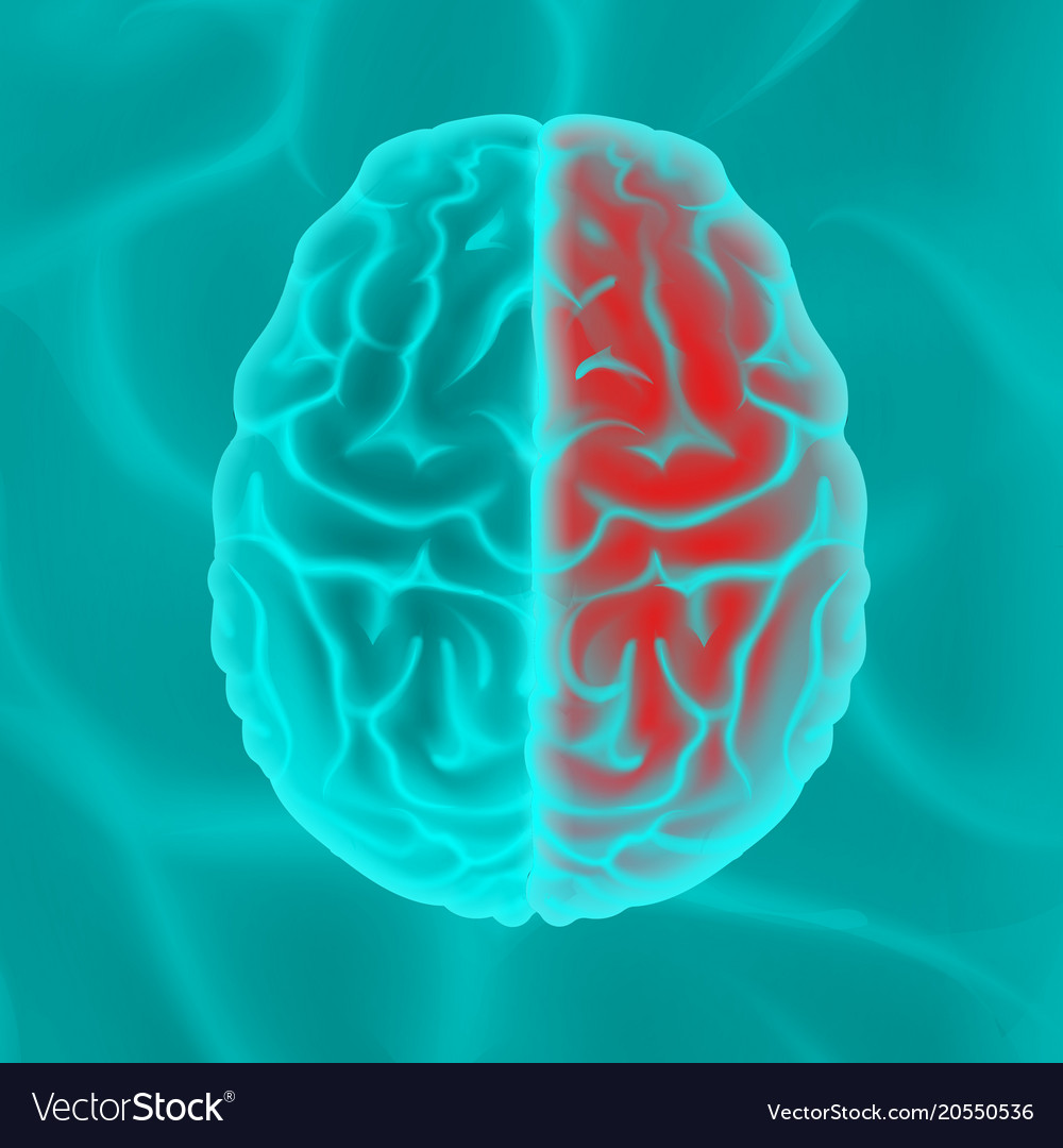 Glowing human brain Royalty Free Vector Image - VectorStock