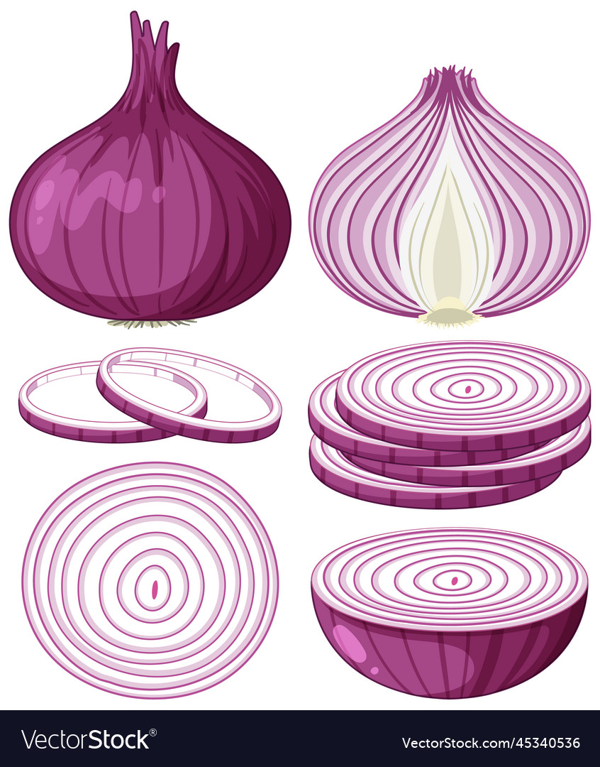 Shallot in whole and sliced pieces Royalty Free Vector Image