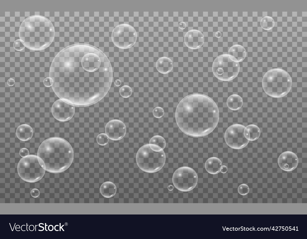 Bubbles on transparent backdrop realistic soap Vector Image