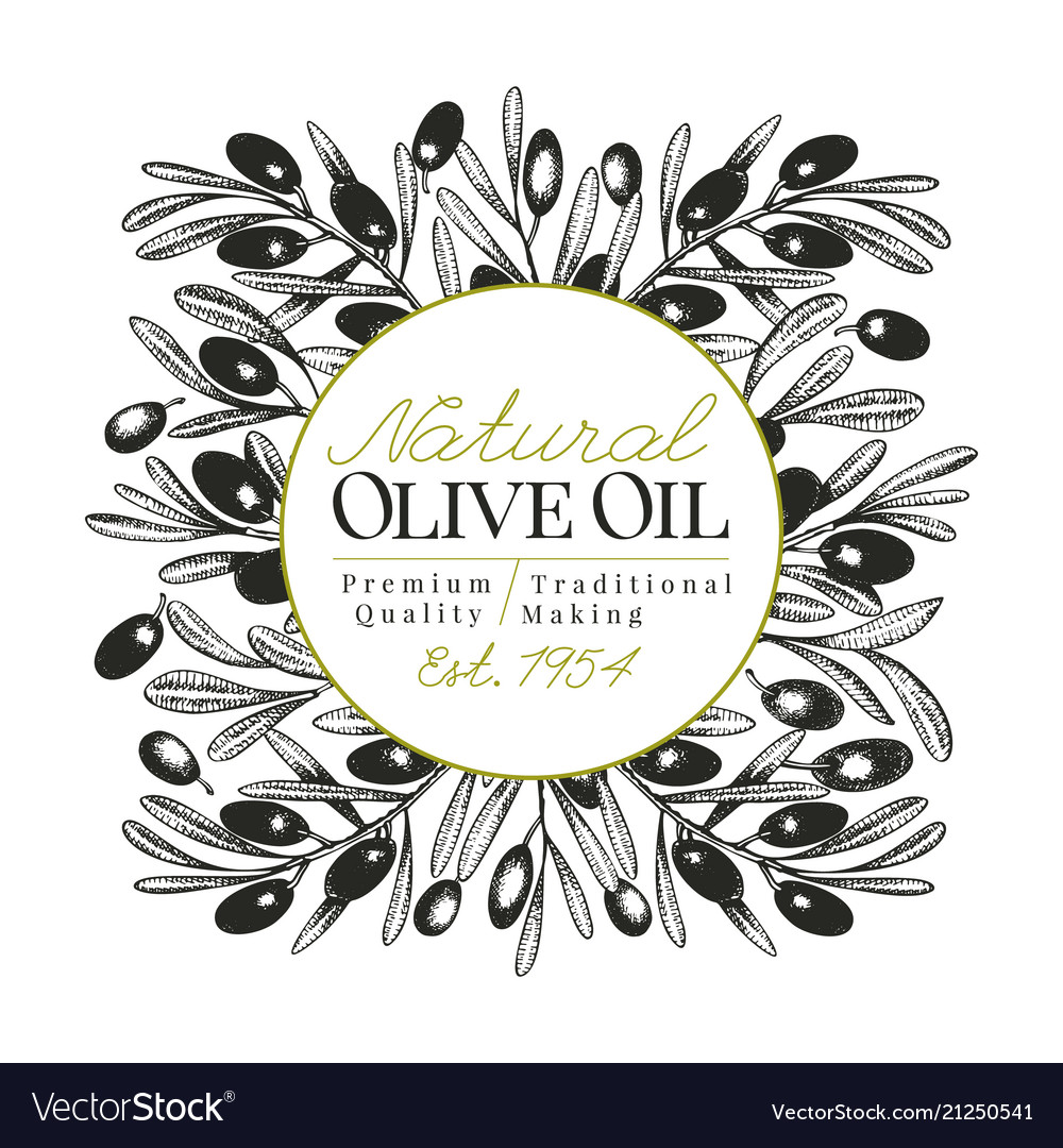 Olive Tree Banner Template Vintage Royalty Free Vector Image
