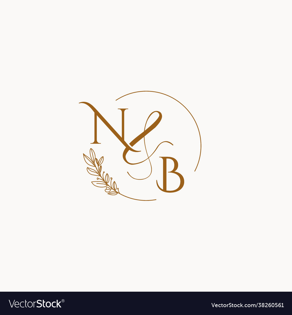 Nb best sale logo vector