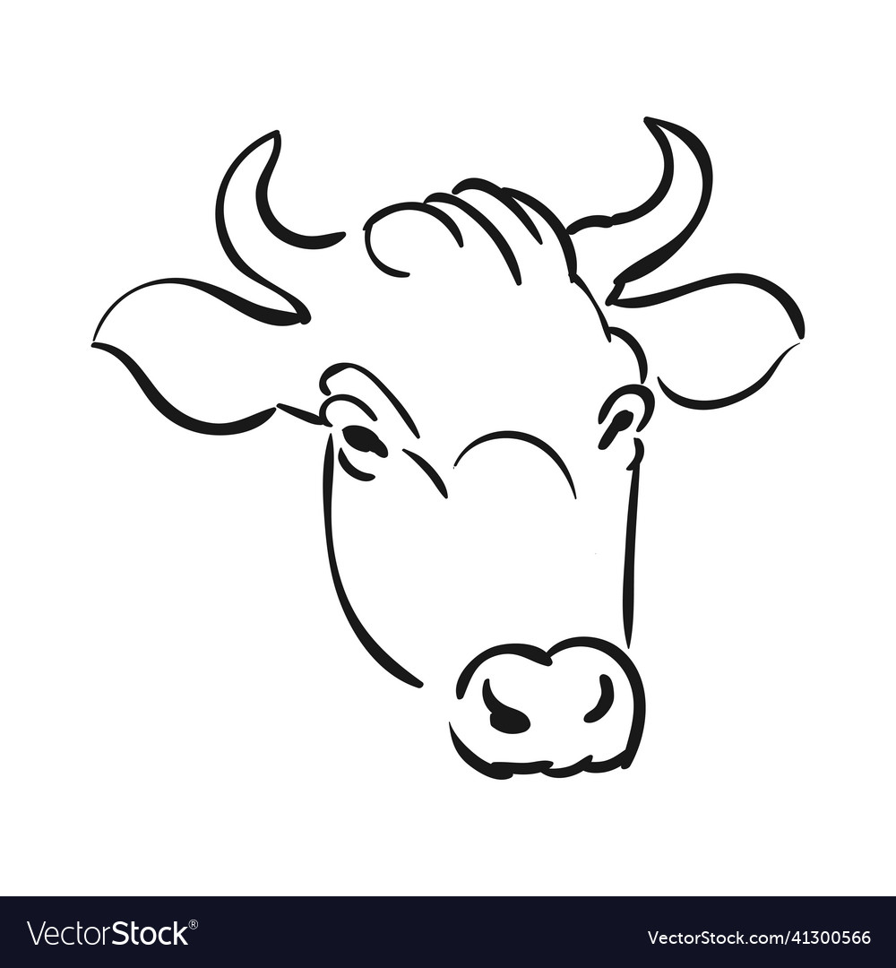 Cow head Royalty Free Vector Image - VectorStock