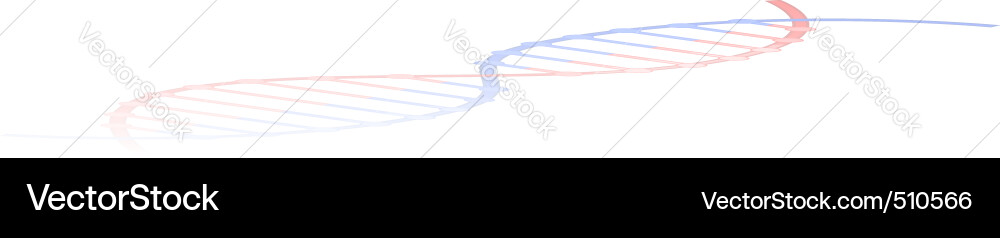 Dna strand Royalty Free Vector Image - VectorStock