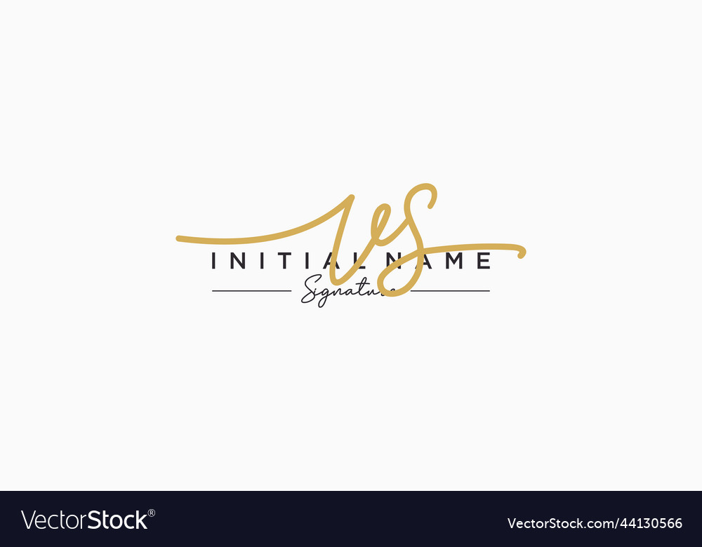 Initial vs signature logo template hand drawn Vector Image