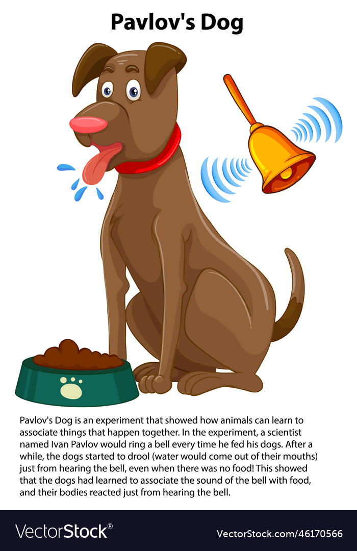 pavlov dog experiment ppt