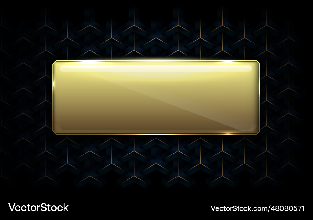 Abstract luxury geometric pattern background with Vector Image