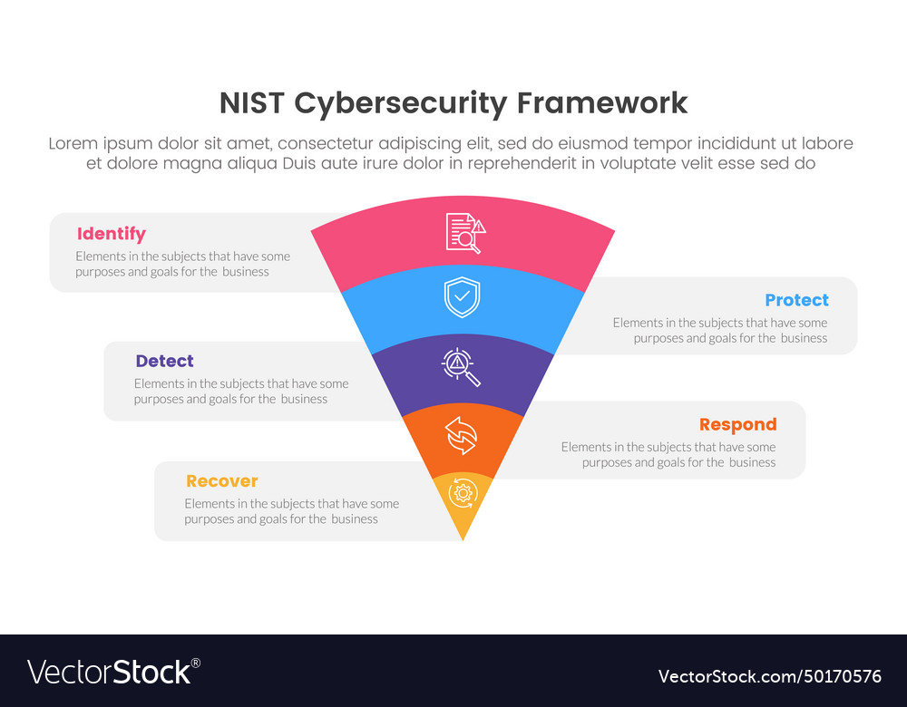 Nist cybersecurity framework infographic 5 point Vector Image