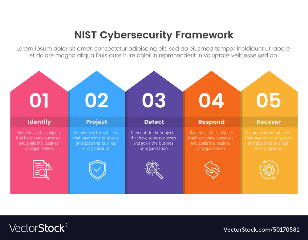 Nist cybersecurity framework infographic 5 point Vector Image