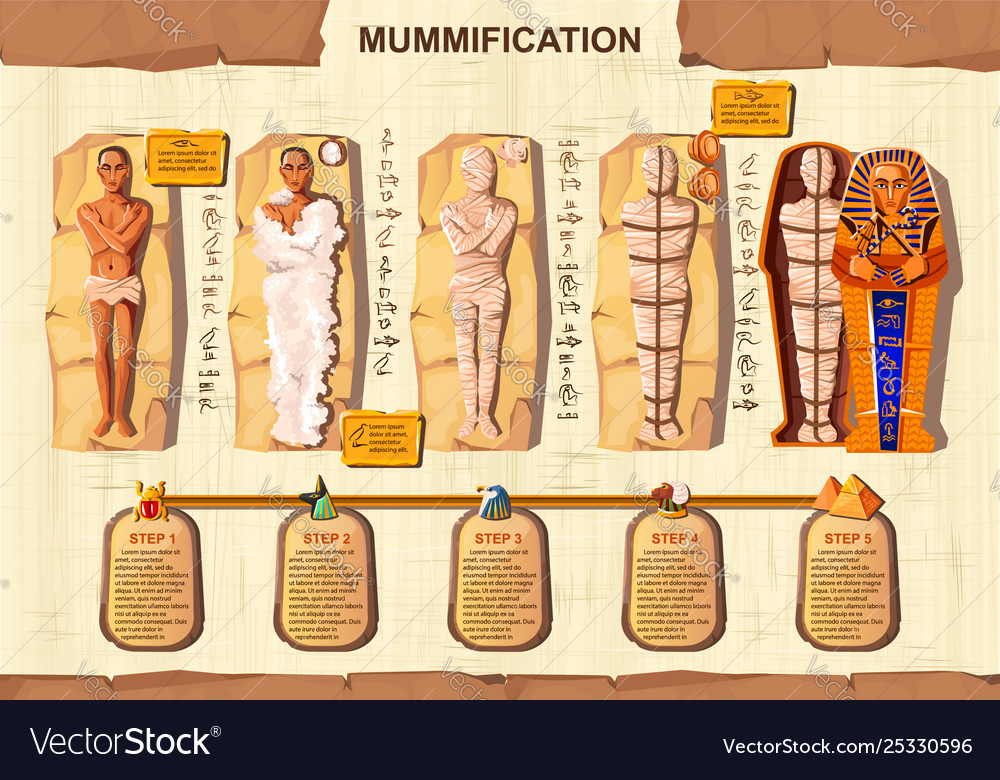 Mummy creation cartoon infographic Royalty Free Vector Image