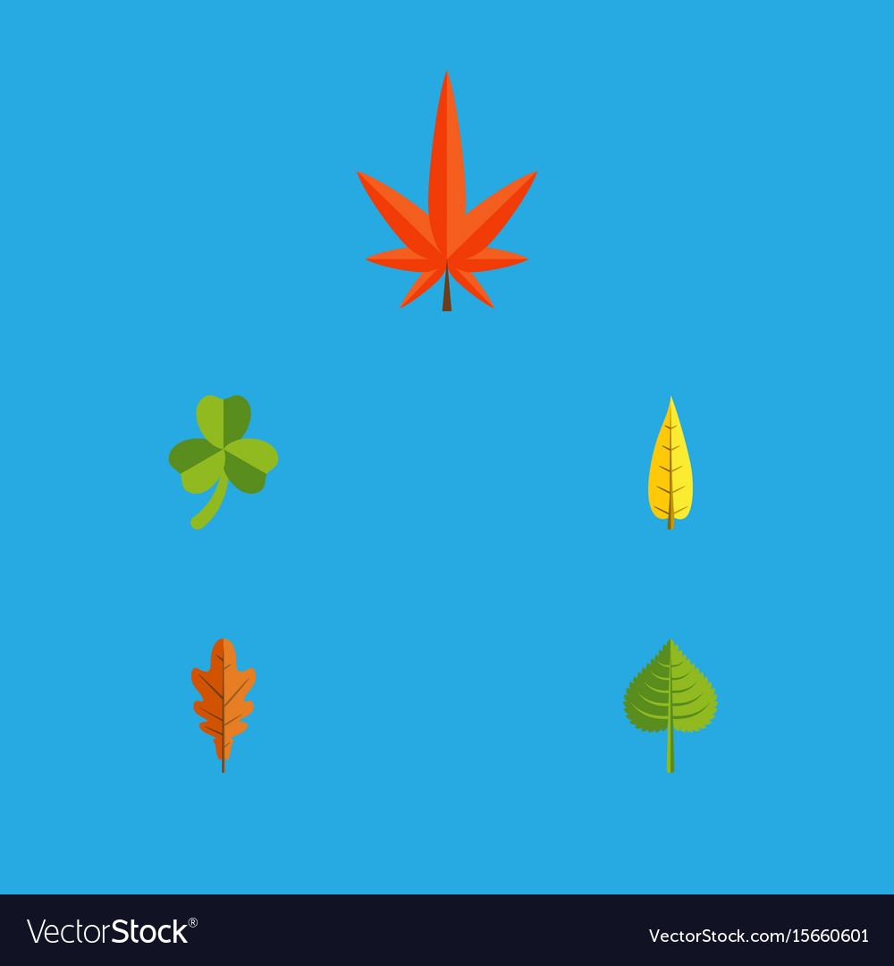 Flat icon maple set of aspen hickory Royalty Free Vector