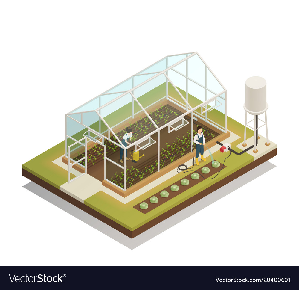 Greenhouse facility irrigation isometric Vector Image