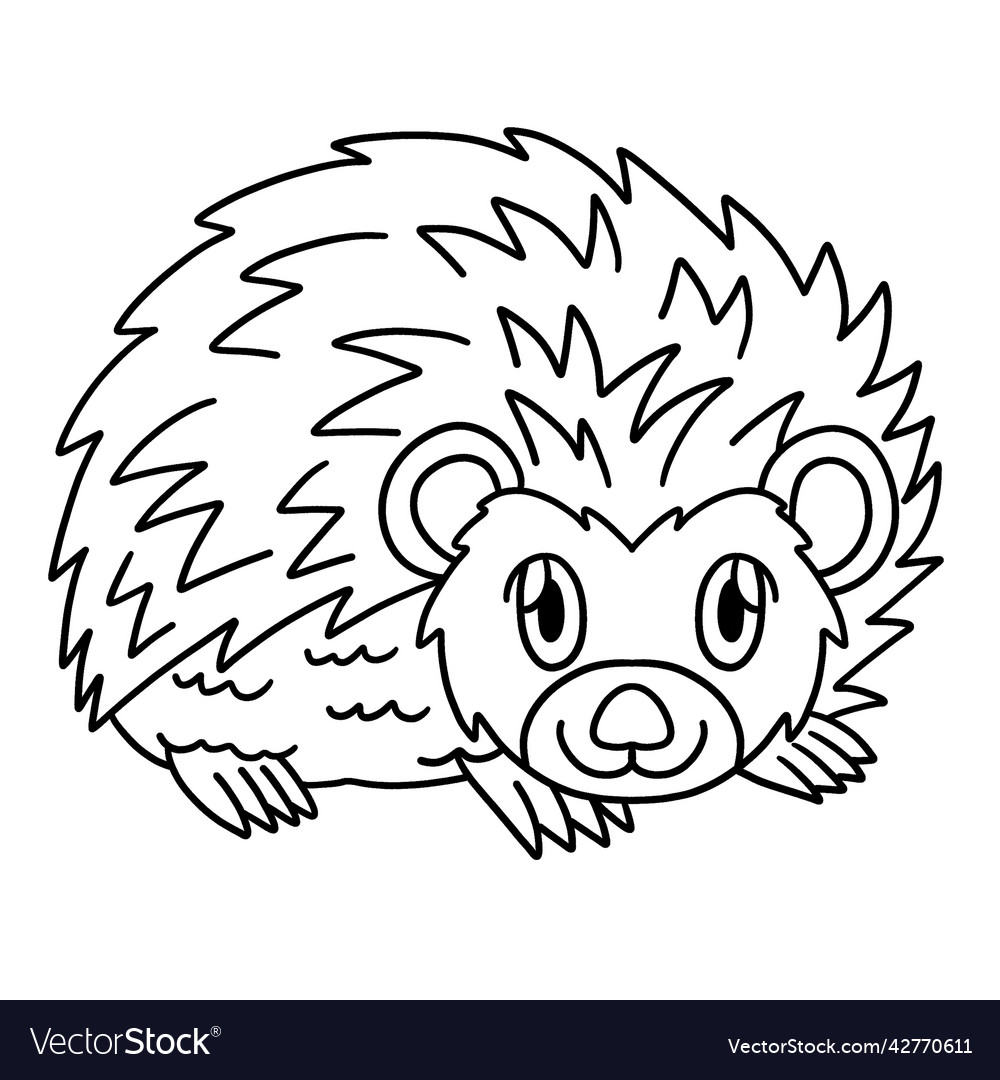 Hedgehog coloring page isolated for kids Vector Image