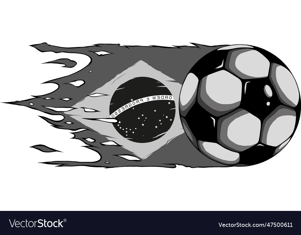 Monochromatic of brazil flag with Royalty Free Vector Image