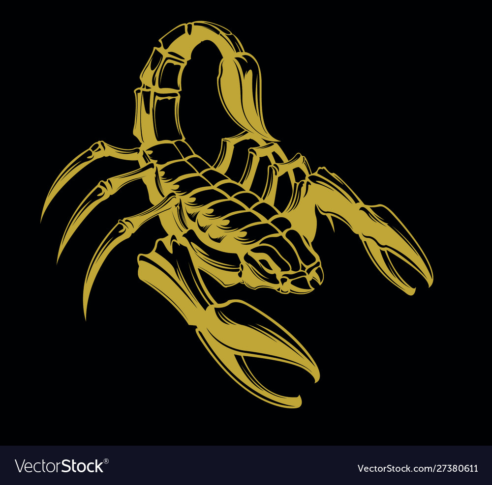 Scorpion drawing Royalty Free Vector Image - VectorStock