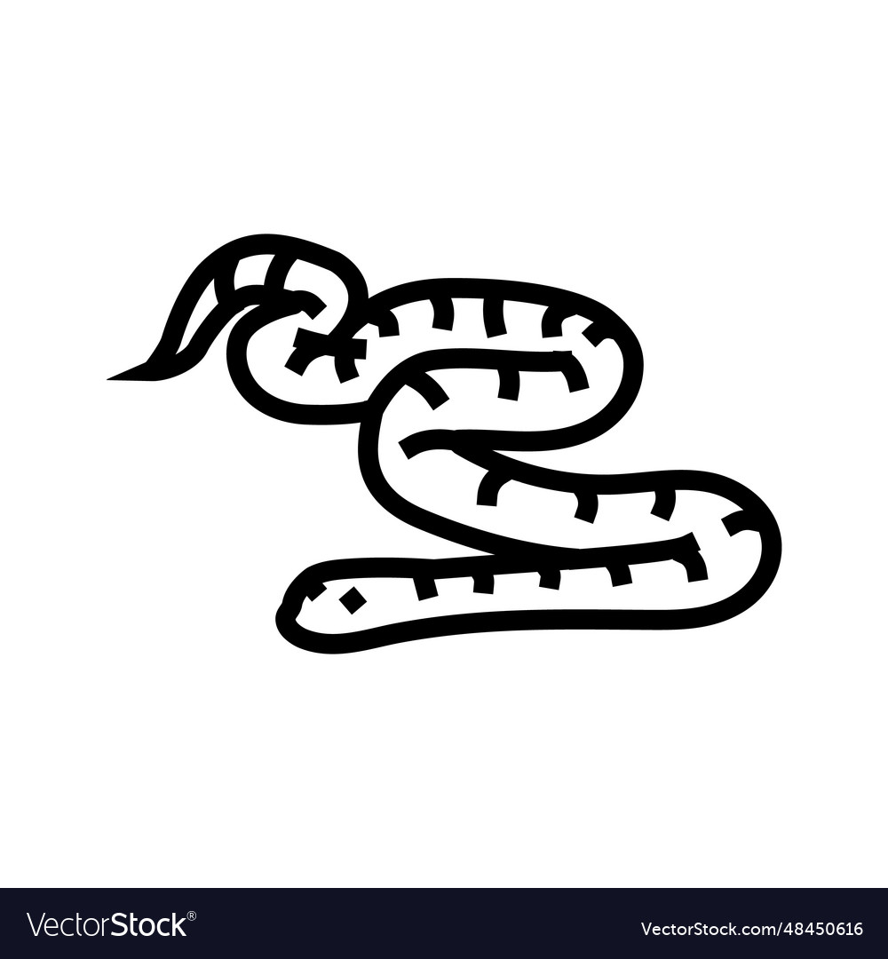 Corn Snake Animal Line Icon Royalty Free Vector Image