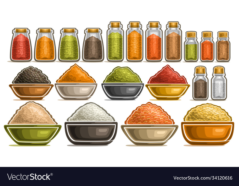 Set different spices vector image Set different spices