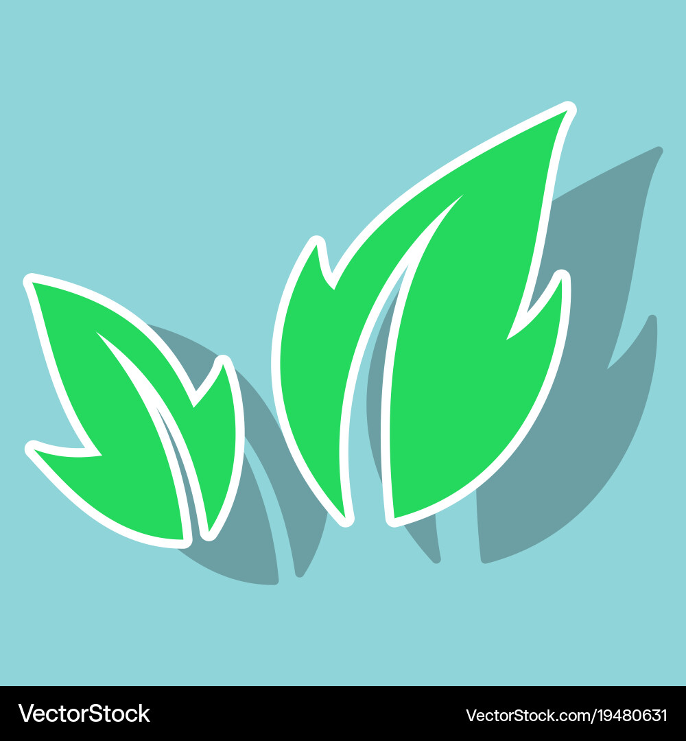 Fresh basil leaves icon sticker Royalty Free Vector Image