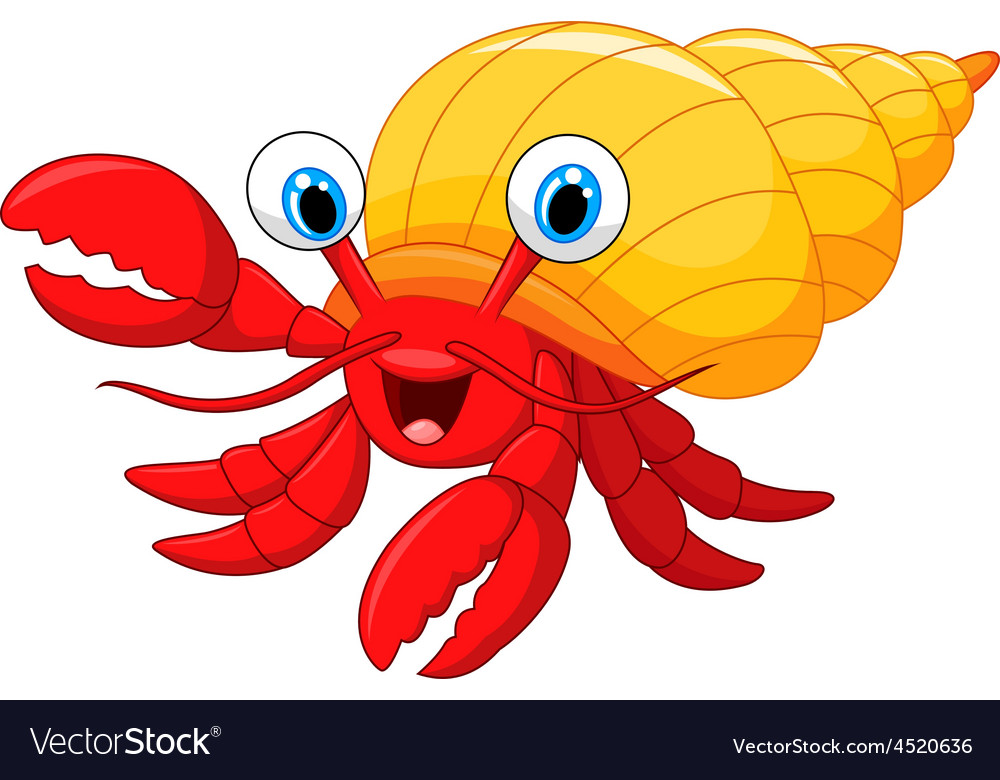 Cartoon hermit crab Royalty Free Vector Image - VectorStock