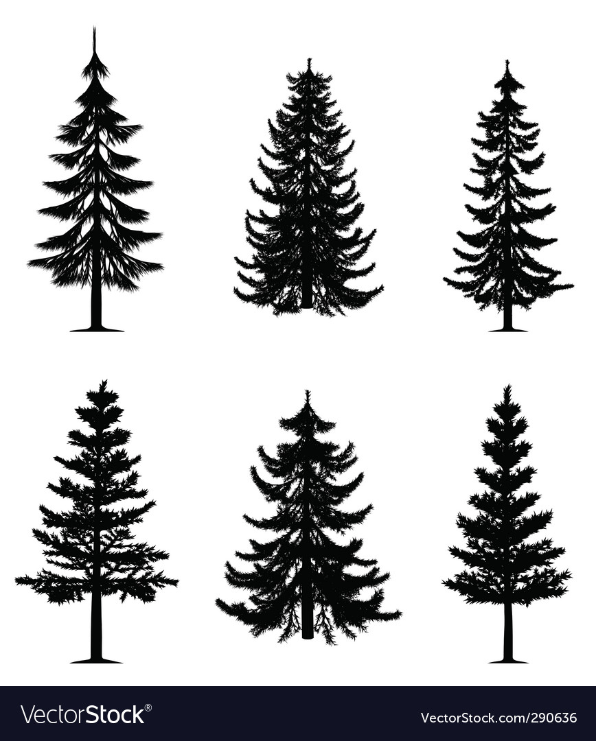 Download Pine trees collection Royalty Free Vector Image