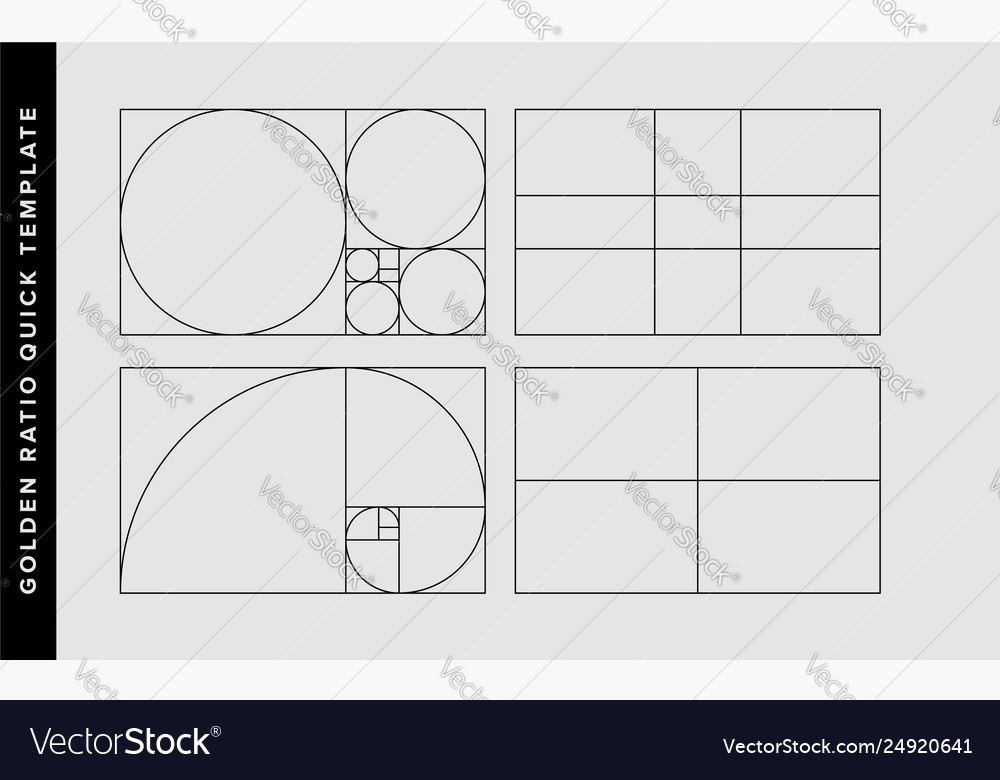 Golden Ratio Design Template Royalty Free Vector Image