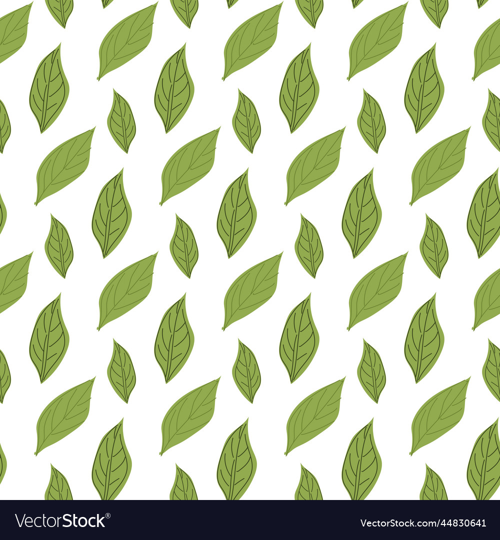 Green leaves seamless pattern for packaging Vector Image