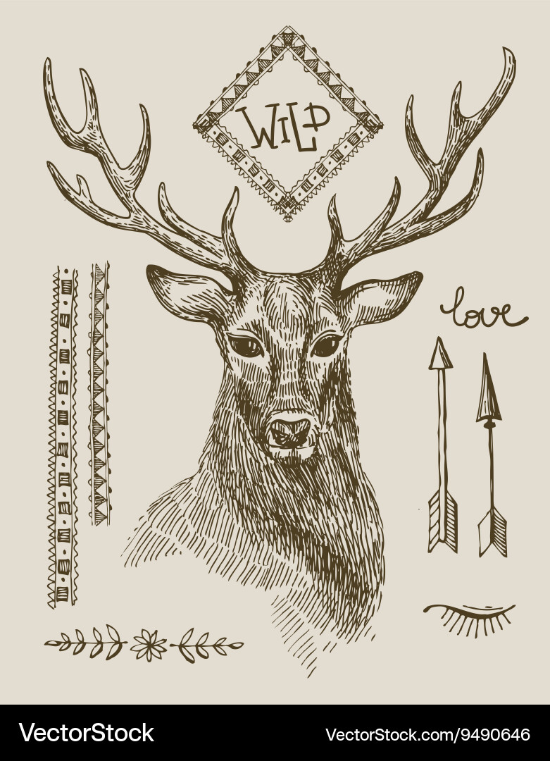 Hand drawn deer Royalty Free Vector Image - VectorStock